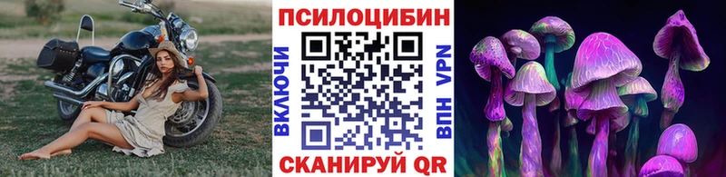 Купить  Светлогорск  Псилоцибиновые грибы MAGIC MUSHROOMS 